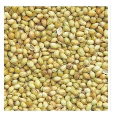 Brown Sorted Quality Pure Indian A Grade Clean Whole Coriander Seed Spice