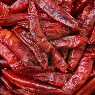 Length 6 To 9 Cm Moisture 10-15% Hot Spicy Natural Taste Stemless Dried Red Chilli Grade: Food Grade