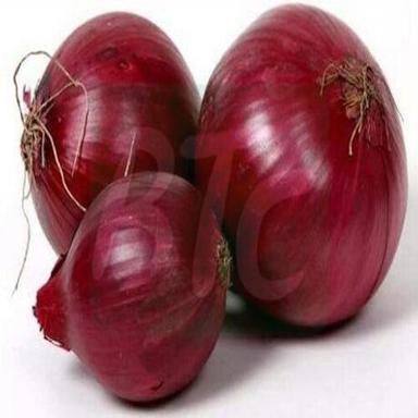 Round & Oval Maturity 100% High Quality Rich Taste Healthy Organic Red Fresh Big Onion