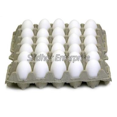 White Poultry Eggs For Eating, High Protein, Best Quality, 100% Fresh, White Color Egg Origin: Chicken