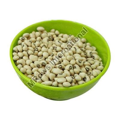 Full Of Proteins Dried Natural Healthy White Kidney Beans Grade: Food Grade