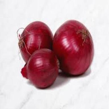Round & Oval Maturity 100% Enhance The Flavour Natural Taste Healthy Organic Fresh Red Onion