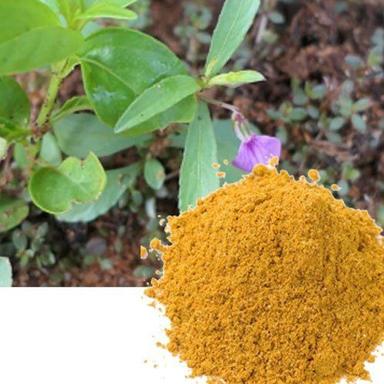 Ayurvedic Medicine Attentively Made Pure Natural Rathna Purush Leaves Powder