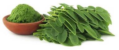 Green Moringa Leaves Powder Grade: Herbal