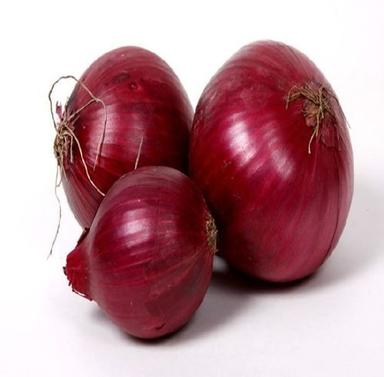 Round & Oval Potassium Per 146Mg 4% Dietary Fiber Per 1.7G 6% High Quality Natural Taste Healthy Fresh Red Onion