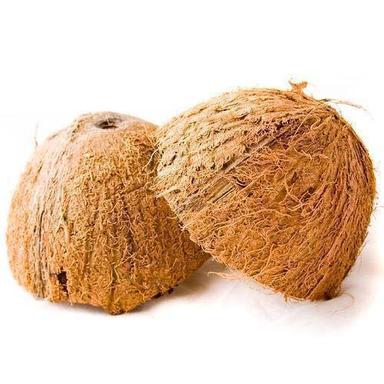 Solid Brown Dry Raw Natural Coconut Shell