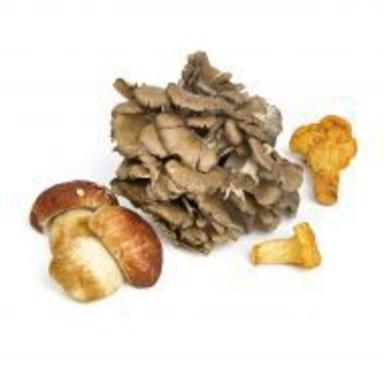 Good For Nutritions Healthy Natural Taste Brown Organic Fresh Mushroom Grade: Food Grade
