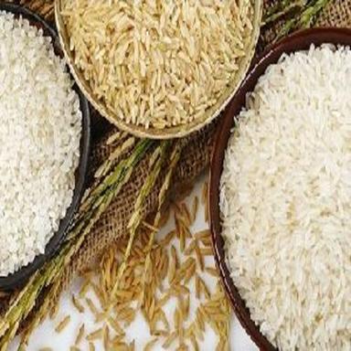 High In Protein Natural Taste Healthy Dried Long Grain Rice Origin: India