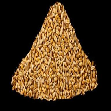 High Quality Healthy Natural Taste Dried Brown Wheat Seeds Grade: Food Grade