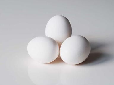 Natural White Fresh Eggs For Cooking Egg Origin: Chicken