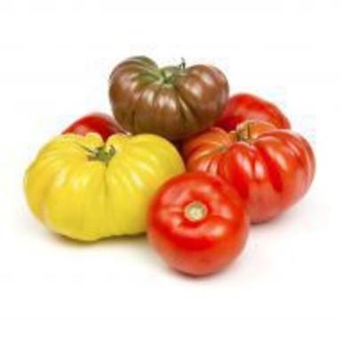 Organic Mild Flavor Natural Taste Healthy Fresh Tomato
