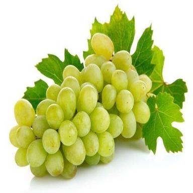 Potassium 191Mg Natural Sweet Taste Juicy Healthy Organic Fresh Green Grapes Origin: India