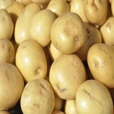 Round & Oval Early Maturing Mild Flavor Good In Taste Healthy Brown Fresh Potato