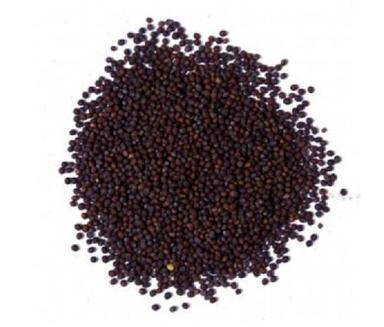 Natural Black Mustard Seeds For Cooking Grade: Food Grade