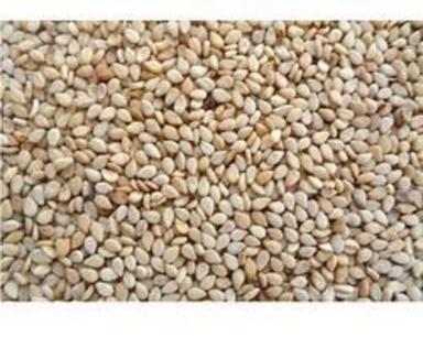 Natural Brown Sesame Seeds For Food Moisture (%): 3-6%Max