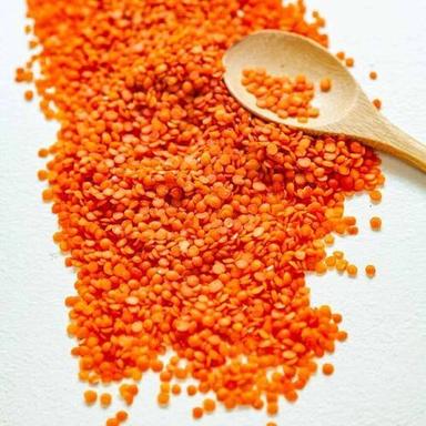 Natural Fresh Red Lentils For Cooking Grain Size: Standard