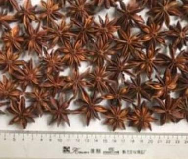 Brown Natural Fresh Star Anise For Cooking
