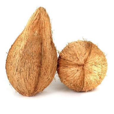Organic Fresh Healthy Natural Taste Brown Semi Husked Coconut