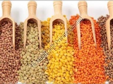 Organic Natural Fresh Masoor Dal For Cooking