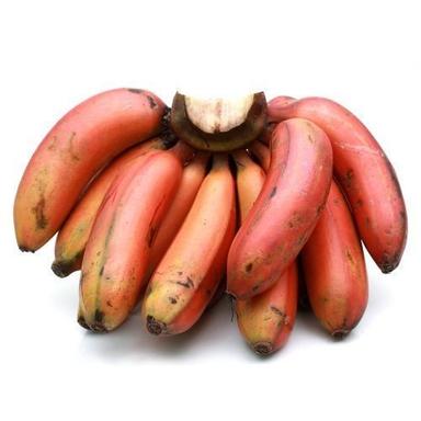 Total Fat 0.3G Absolutely Delicious Healthy Nutritious Organic Fresh Red Banana Size: Standard