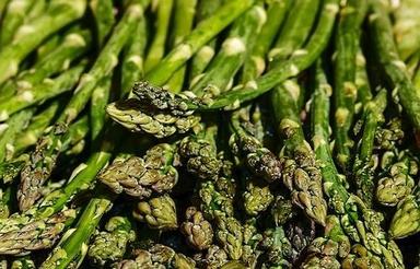 Natural Fresh Green Asparagus For Cooking Size: Standard