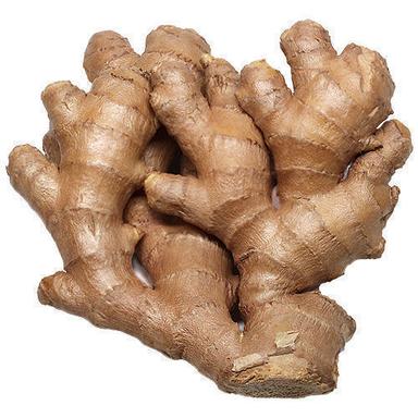 Natural Fresh Brown Ginger For Cooking Preserving Compound: Cool & Dry Places
