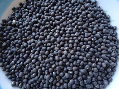 Organic Natural Black Lentils For Cooking