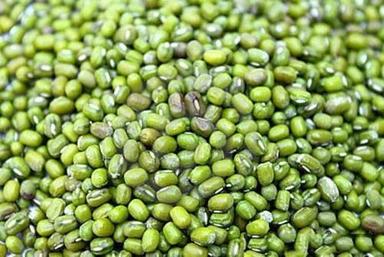 Organic Natural Green Gram For Cooking