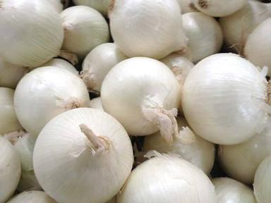 Natural Fresh White Onion For Cooking Preserving Compound: Cool & Dry Places