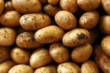 Natural Fresh Potato For Cooking Preserving Compound: Cool & Dry Places