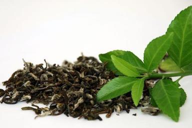 100% Organic Natural Green Tea Leaves Granules Grade: A-Grade