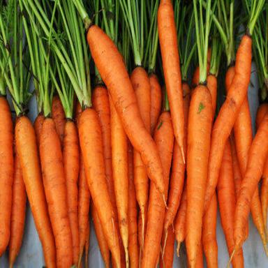 Vitamin A 33% Calcium 3% Iron 1% Natural Taste Healthy Fresh Red Carrot