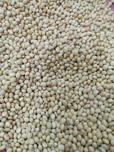 Natural and Healthy Soyabeans (SOYA Bean) Seeds (1 kg)