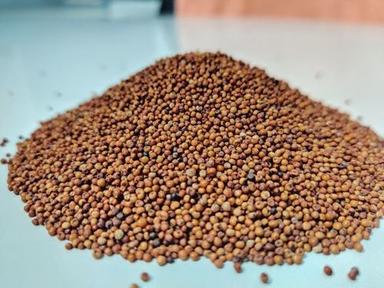 Good In Taste Natural Healthy Dried Red Finger Millet Seeds Grade: Food Grade