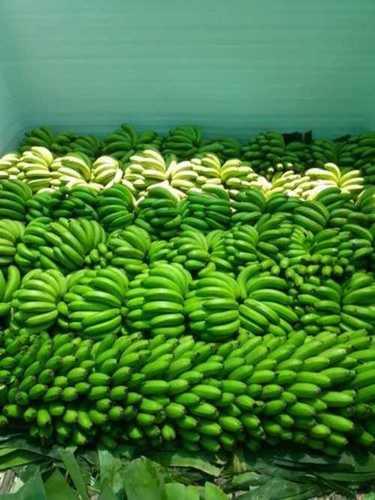 Greeb Human Consumption Green Banana