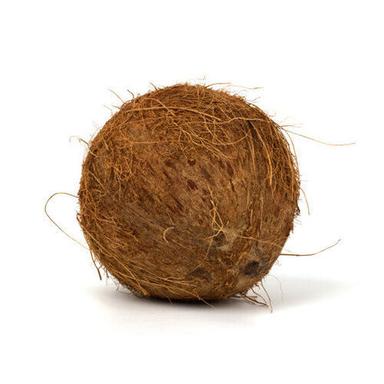 Whole High Nutritional Value Delicious In Taste Healthy Brown Fresh Coconut