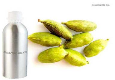 Natural Pure Cardamom Oil Odour:: Aromatic