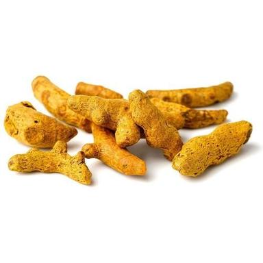 Yellow Color Natural and Dry Turmeric