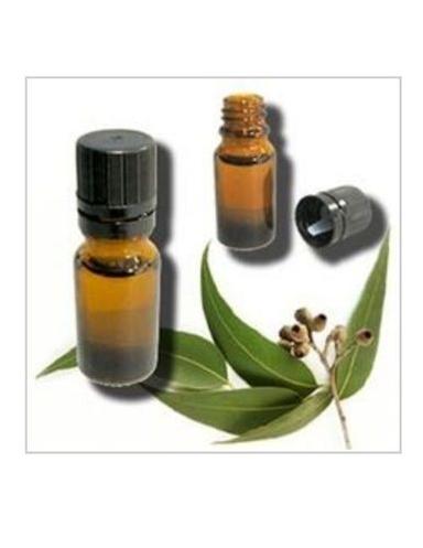 Natural and Pure Eucalyptus Essential Oil