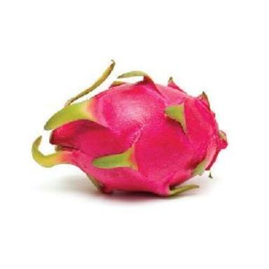 Pink Natural Fresh Dragon Fruit