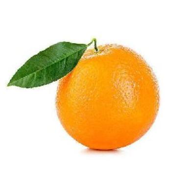Organic Natural Fresh Orange Fruit