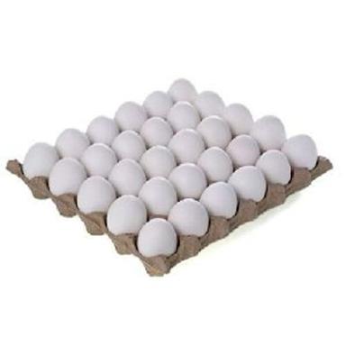 अंडा पकाने के लिए प्राकृतिक सफेद ताजे अंडे उत्पत्ति: चिकन