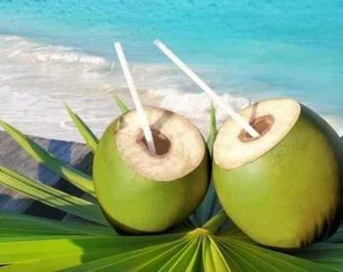Beverage Fresh Green Water Coconut 