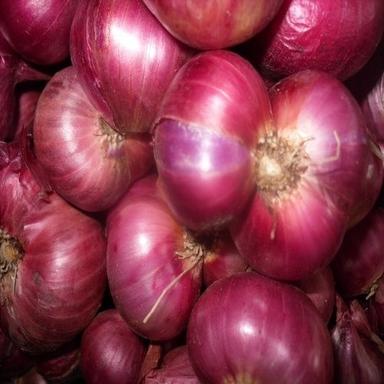 Round & Oval Enhance The Flavour Natural Taste Healthy Red Fresh Onion
