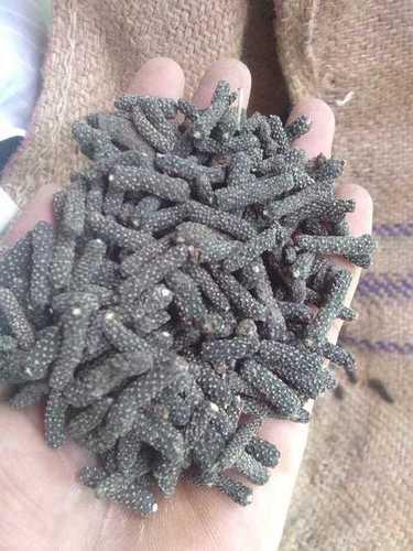Organic Long Pepper For Ayurveda Use Dry Place