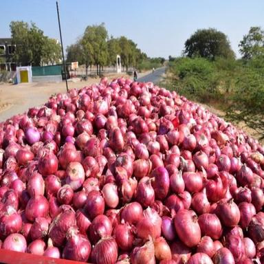 Round Indian Origin Red Fresh Onion