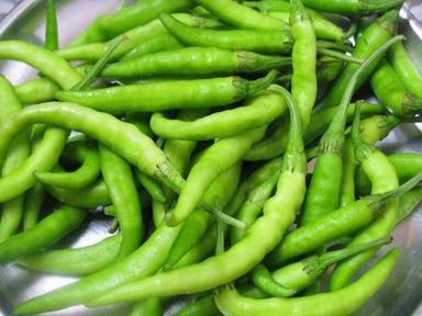 Hygienic Packing Spicy Hot Taste Organic Fresh Green Chilli Shelf Life: 1 Months