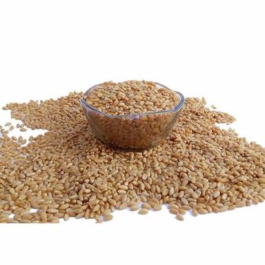 Golden Organic Natural Sharbati Wheat