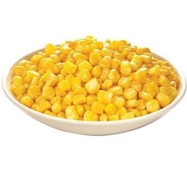 Dried Carbohydrate 6% Nutritious Healthy Natural Rich In Taste Yellow Sweet Corn