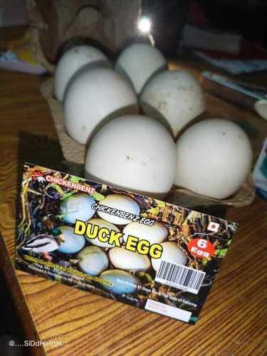 Fresh Farm Duck Egg Egg Size: Large